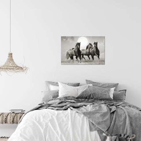 Wandbilder Wohnzimmer XXL Pferde Moderne Bilder Tiere
